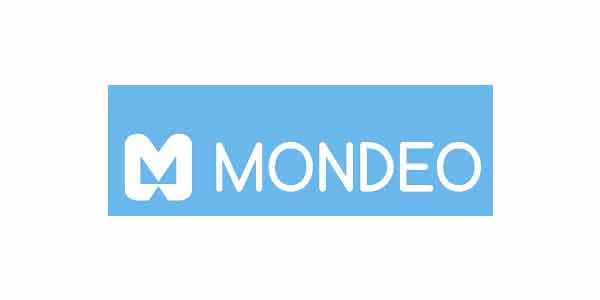Mondeo 止回阀-过滤器-压力计 意大利原装进口
